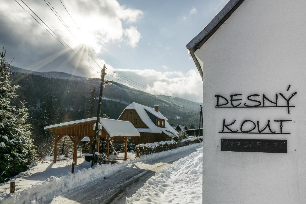 Willa Desny Kout Kouty Zewnętrze zdjęcie